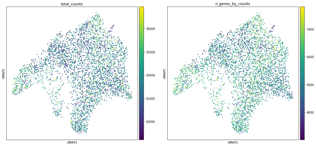 _images/analysis-visualization-spatial_13_0.png