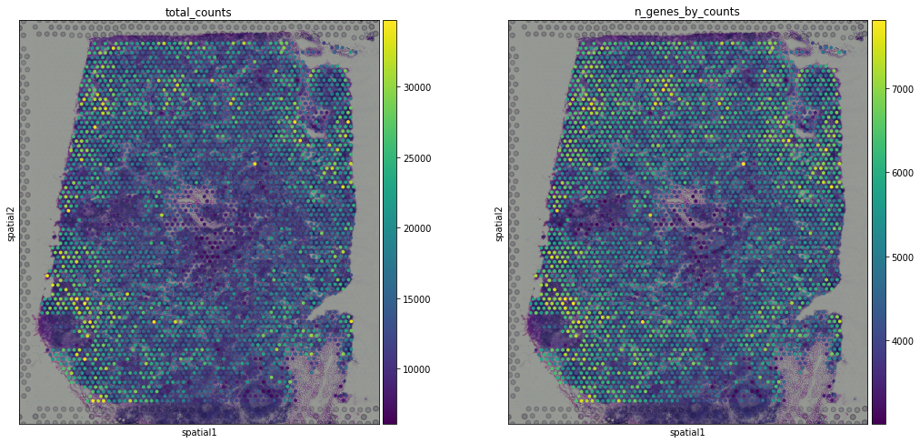 _images/analysis-visualization-spatial_15_0.png