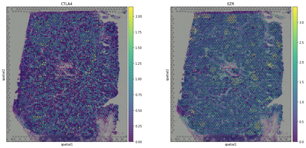 _images/analysis-visualization-spatial_30_0.png