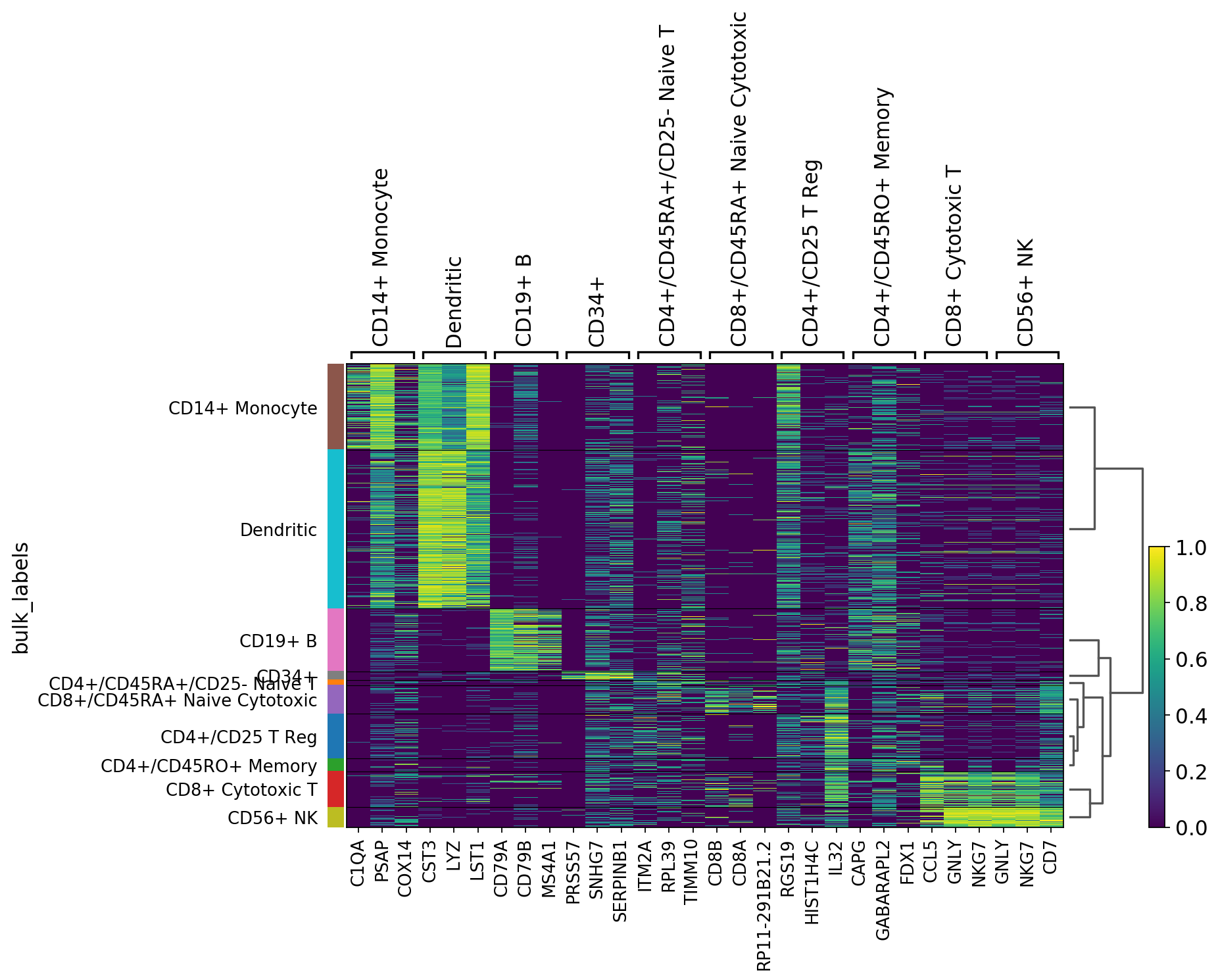 _images/visualizing-marker-genes_64_0.png